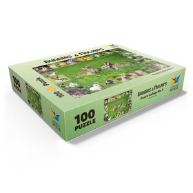 100