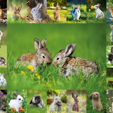 Bunnies & Rabbits - Collage No. 5 100 Jigsaw Puzzle 3D Modell