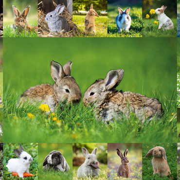 Bunnies & Rabbits - Collage No. 5 500 Jigsaw Puzzle 3D Modell