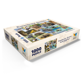 1000