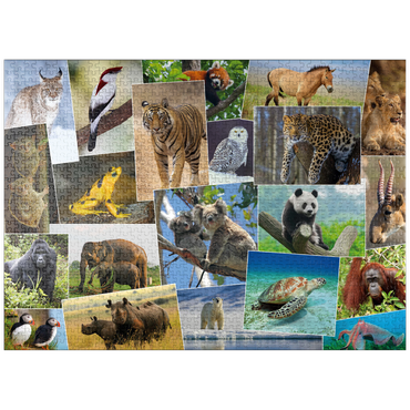 puzzleplate Endangered species - Collage No. 1 1000 Jigsaw Puzzle
