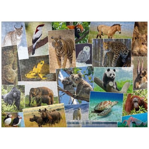 puzzleplate Endangered species - Collage No. 1 1000 Jigsaw Puzzle