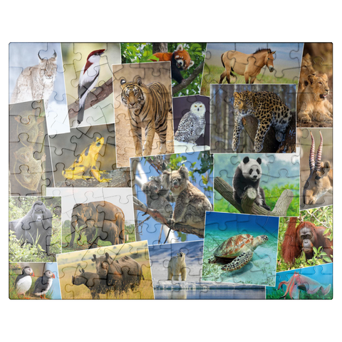 puzzleplate Endangered species - Collage No. 1 100 Jigsaw Puzzle