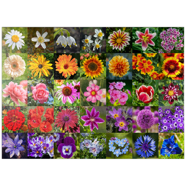 puzzleplate Colorful flowers collage No. 5 in spring and summer 1000 Jigsaw Puzzle
