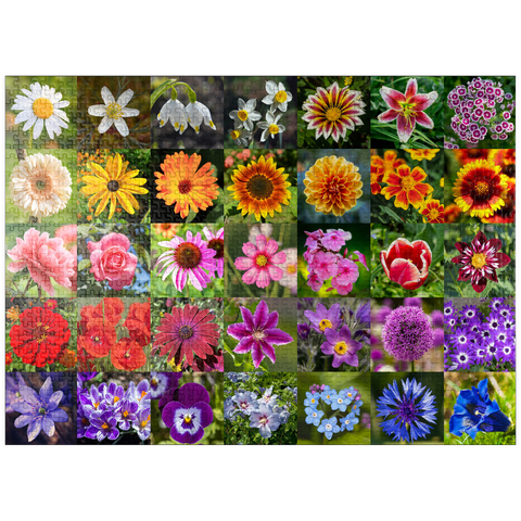 puzzleplate Colorful flowers collage No. 5 in spring and summer 1000 Jigsaw Puzzle