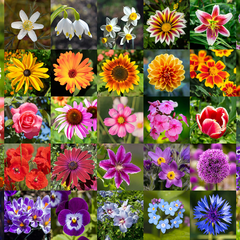 Colorful flowers collage No. 5 in spring and summer 1000 Jigsaw Puzzle 3D Modell