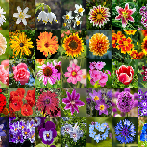 Colorful flowers collage No. 5 in spring and summer 100 Jigsaw Puzzle 3D Modell