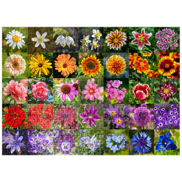 puzzleplate Colorful flowers collage No. 5 in spring and summer 500 Jigsaw Puzzle