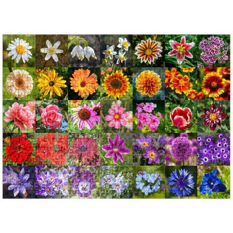 puzzleplate Colorful flowers collage No. 5 in spring and summer 500 Jigsaw Puzzle