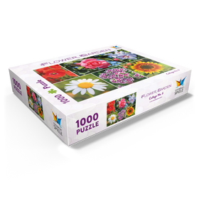 1000