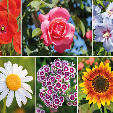 Colorful flowers collage No. 6 in spring and summer 100 Jigsaw Puzzle 3D Modell
