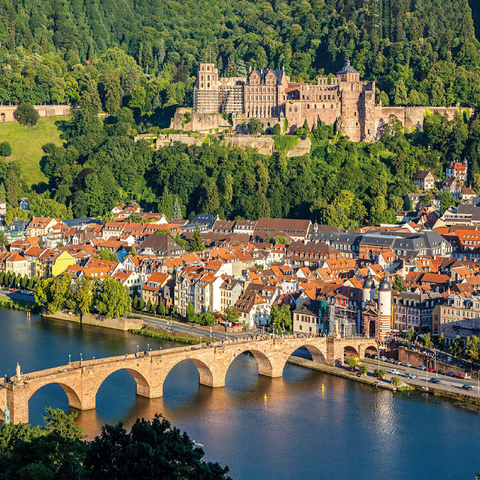 View of Heidelberg - Old Town, Old Bridge and Castle 100 Jigsaw Puzzle 3D Modell